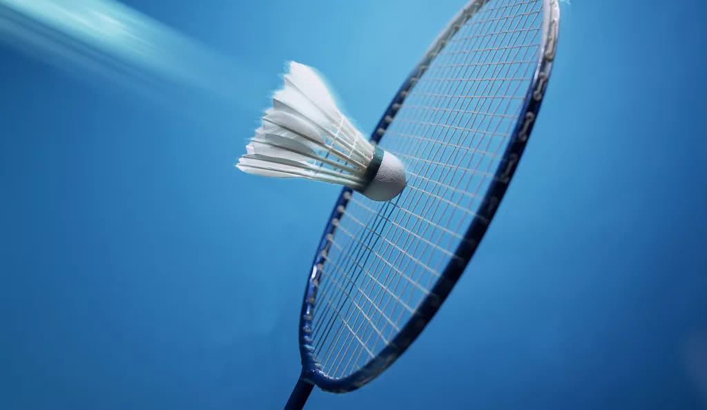 自然引来众 自然引来众